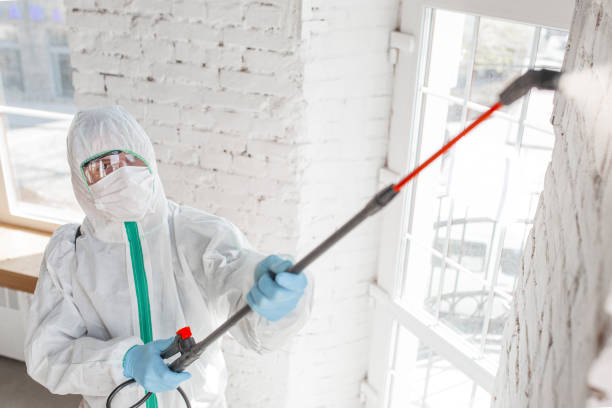 Best Emergency Mold Remediation  in Terrebonne, OR