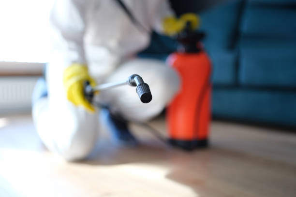 Best Residential Mold Inspection & Testing  in Terrebonne, OR